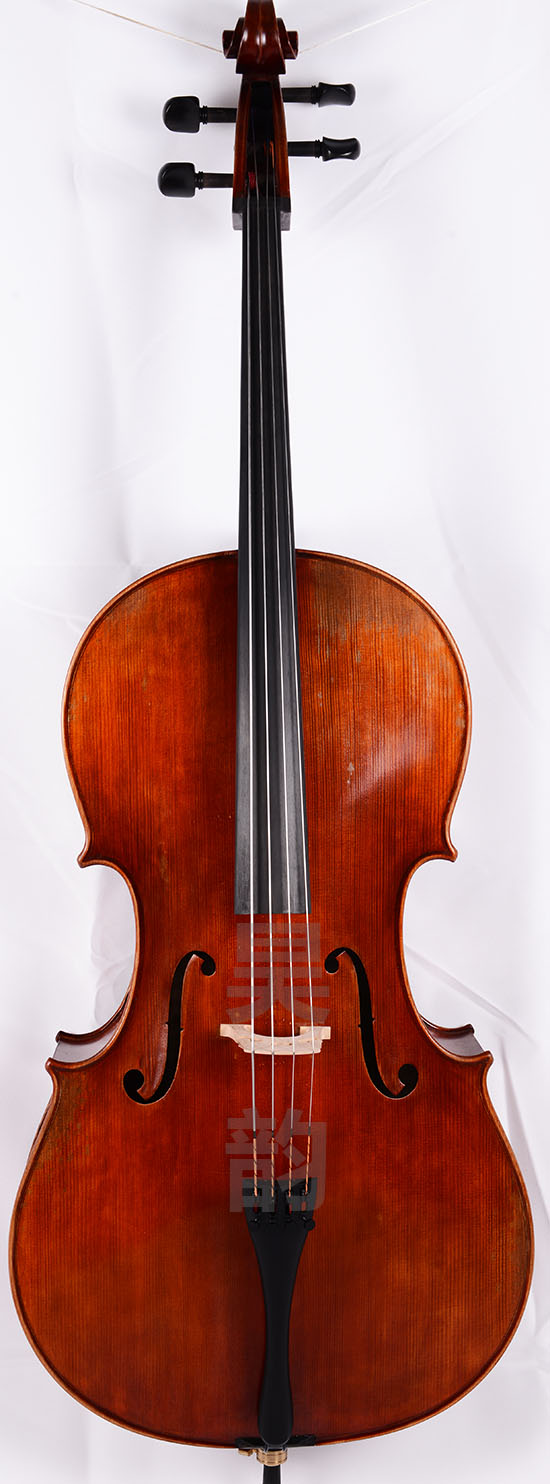 国料大提琴面板