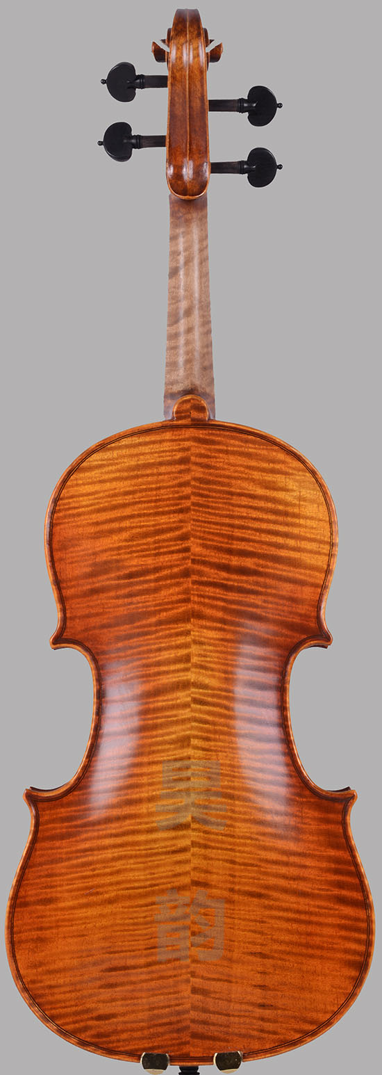 小提琴背板