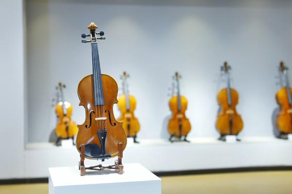 河南这个县被认定为“小提琴之乡”